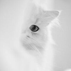 💝 🐾🌸 DON'T BE SHY!!! Take a Peek in my Closet!!!